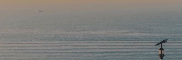 wendigost's profile banner image