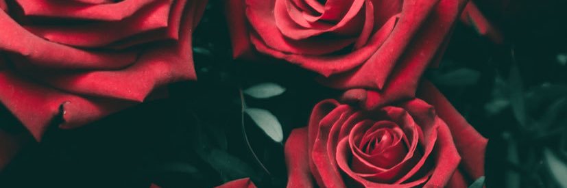 _jajalicious_'s profile banner image