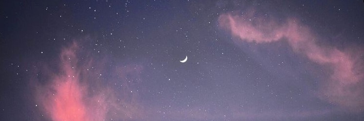 willyhaze31's profile banner image