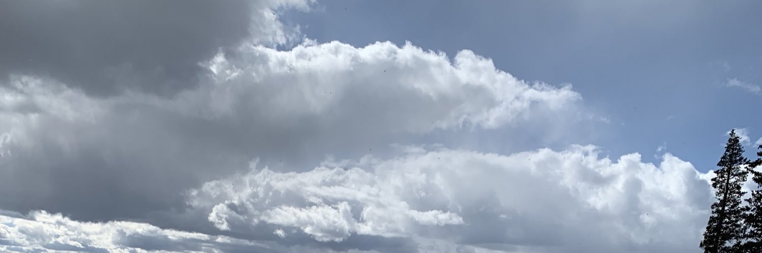 popsgardenking's profile banner image