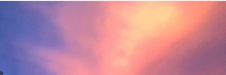 shoookdd's profile banner image