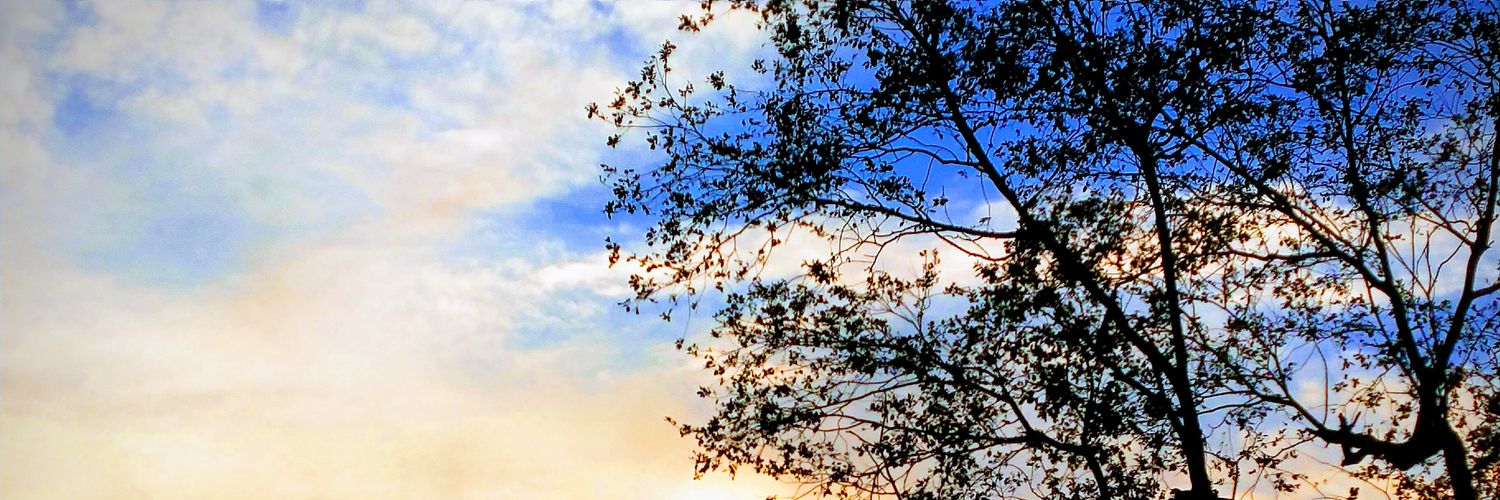 chandan_ckt's profile banner image