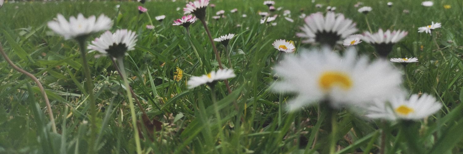 moniacxx's profile banner image