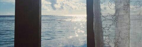 4_shamma's profile banner image