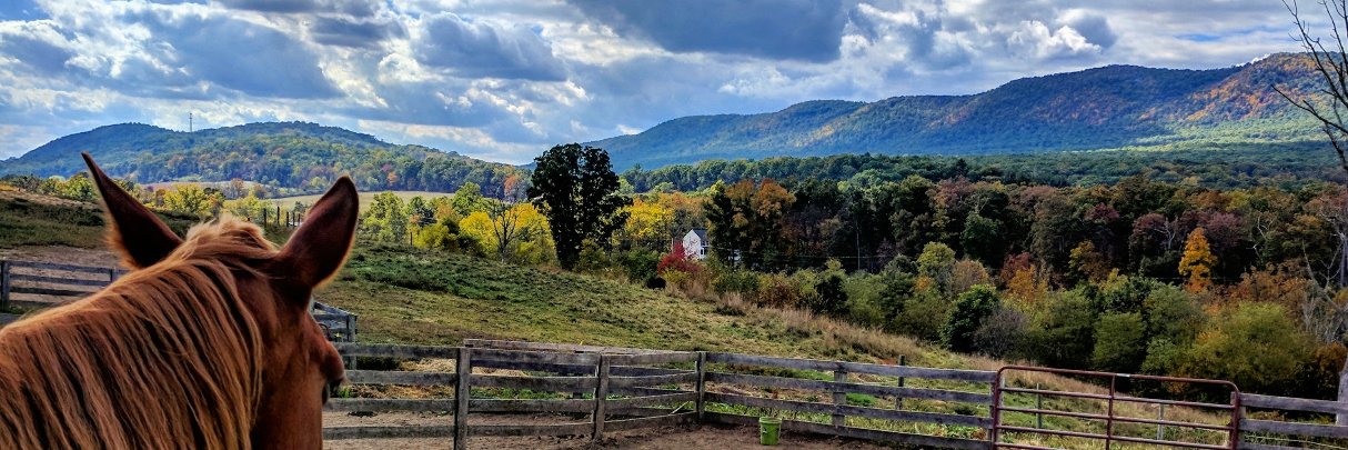 Winchester VA banner