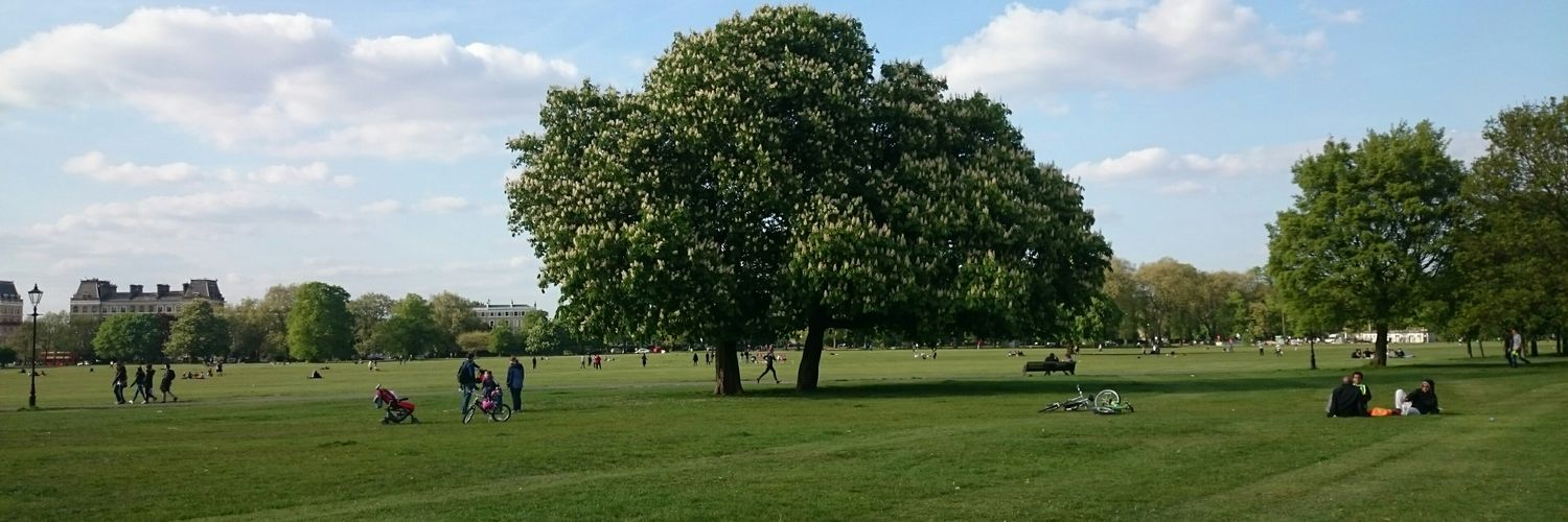 Friends of Clapham Common banner