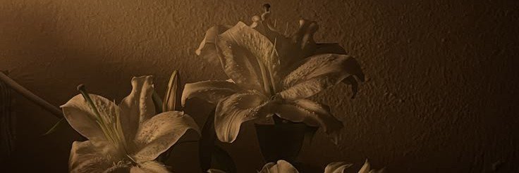 Irmuuun_'s profile banner image