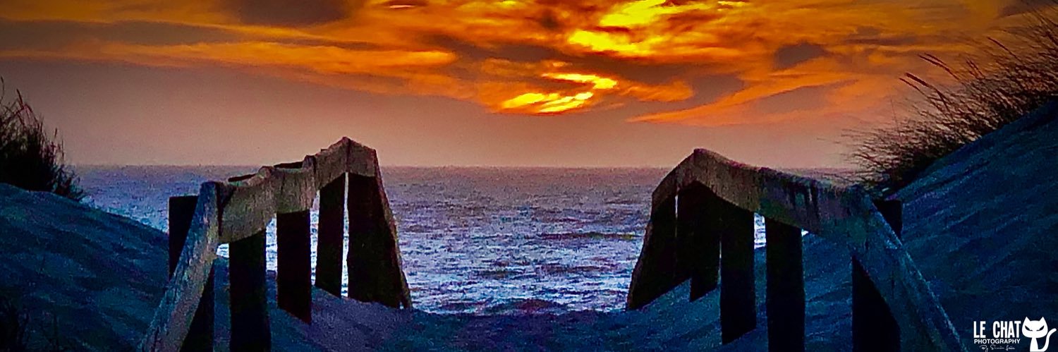 Drsimonleon's profile banner image