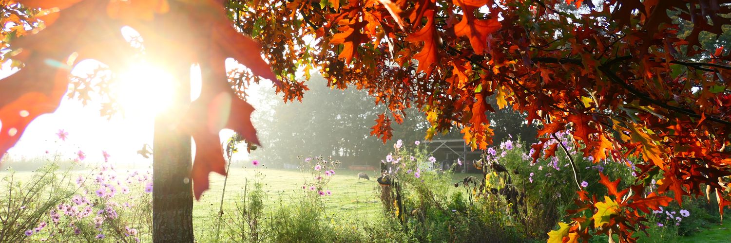 AnitavanderWerf's profile banner image