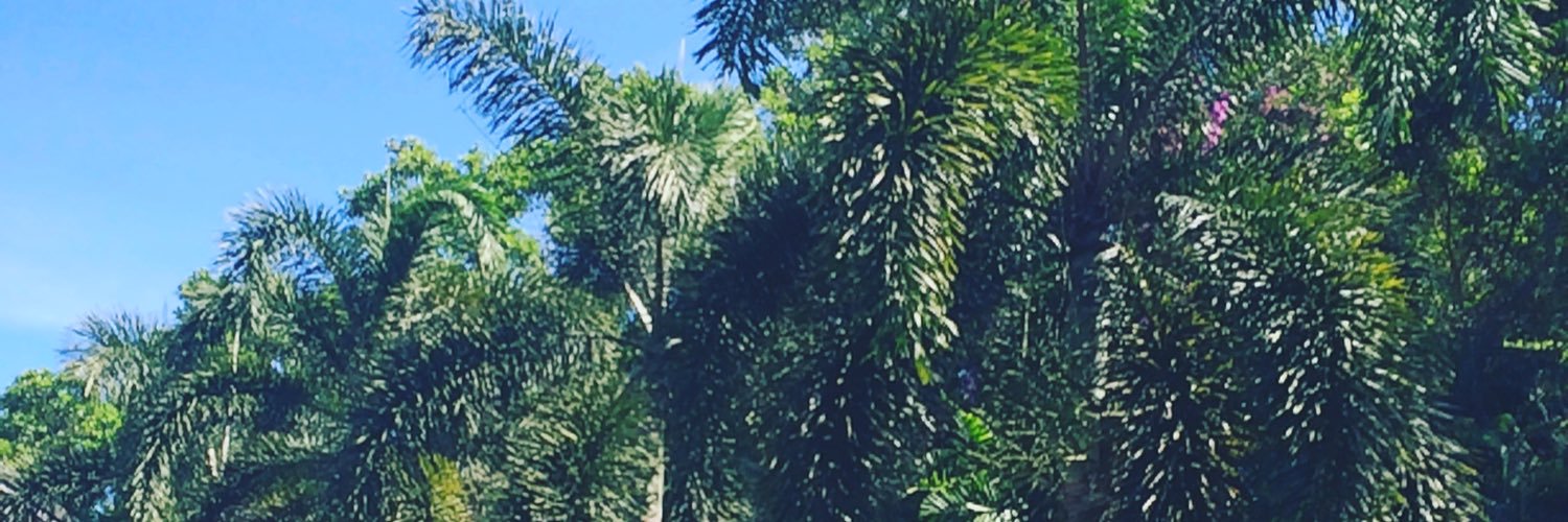MathildaAlmgren's profile banner image