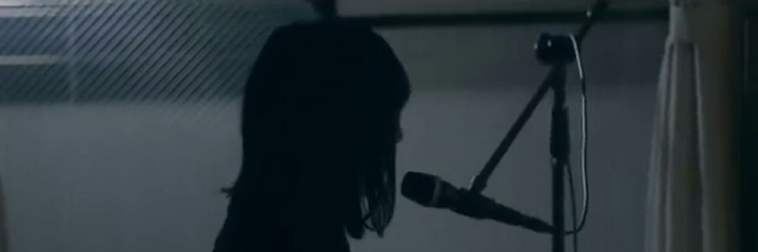 vebianag's profile banner image