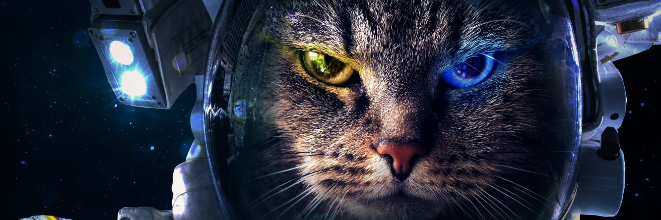 borosanom's profile banner image