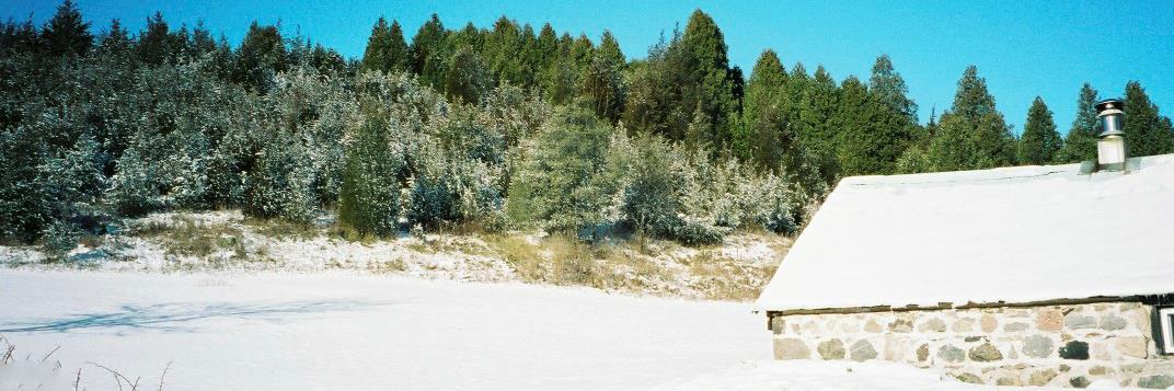 Jennifer Riel banner