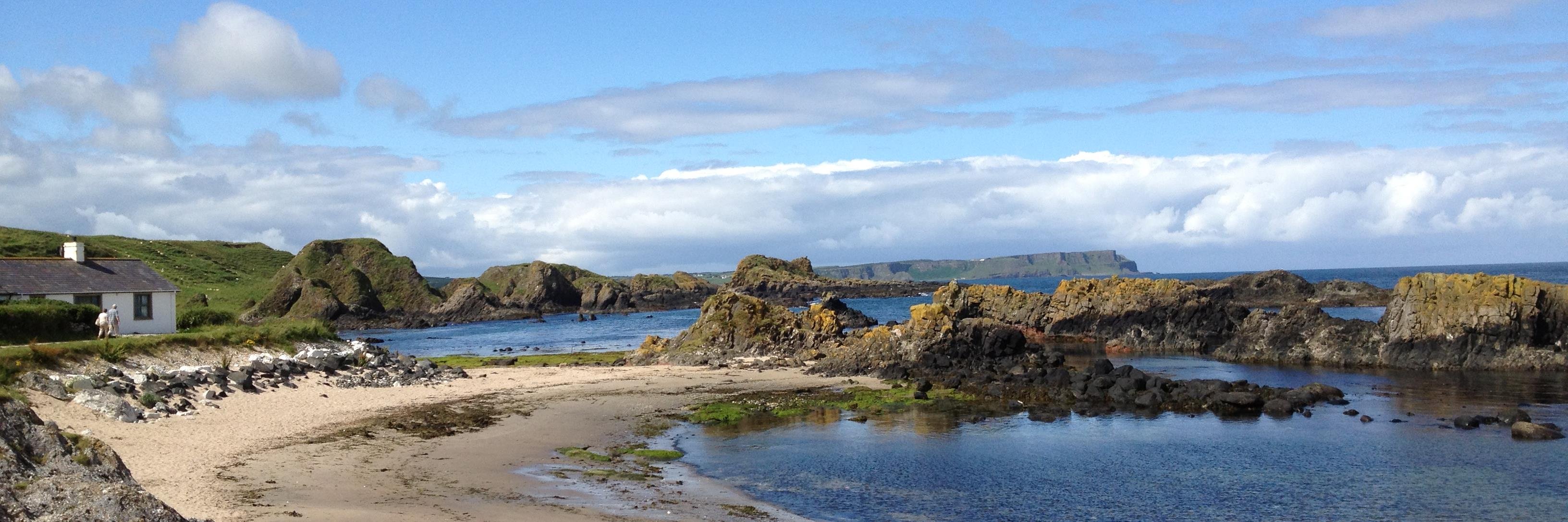 Daniel Singleton banner