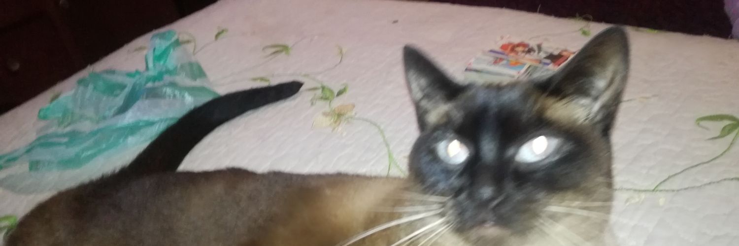 Jorge H B banner