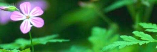 stuckntwit's profile banner image