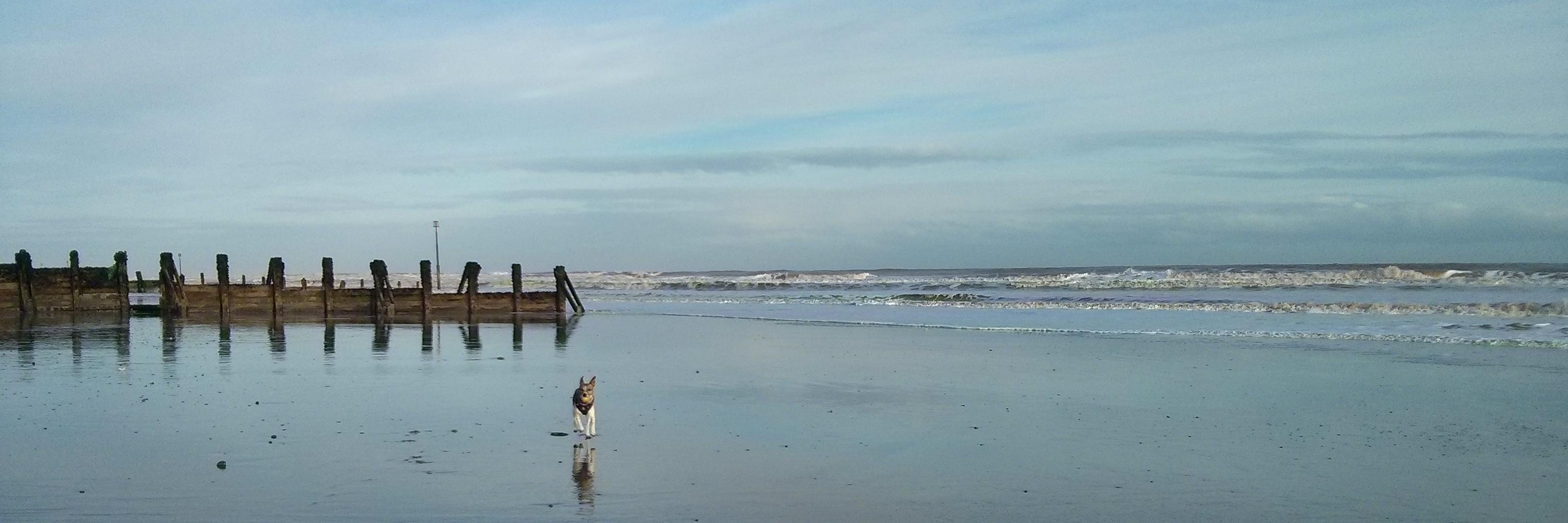 Richard Dallaway 💙 banner