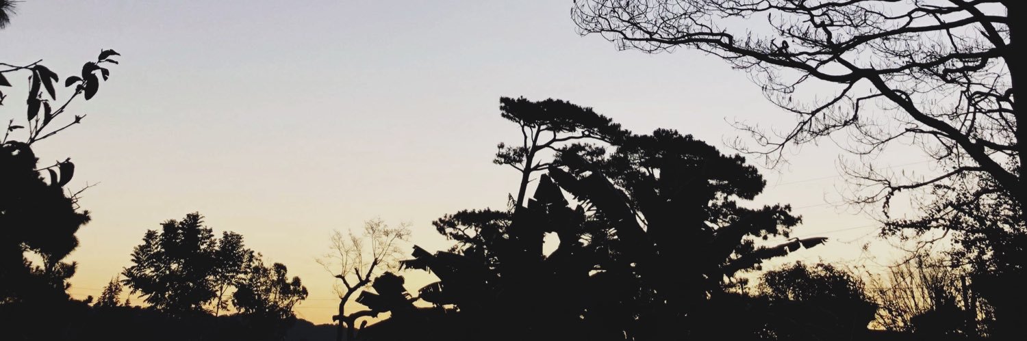 danipagarigan's profile banner image