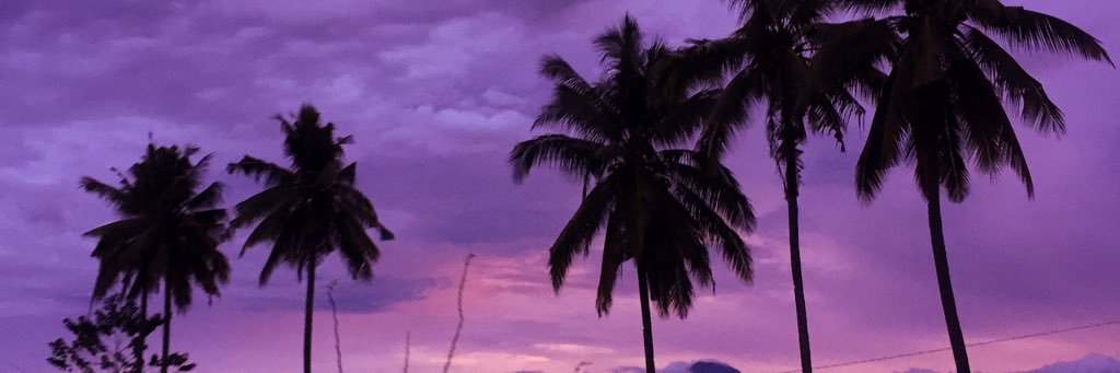 yonadesc's profile banner image