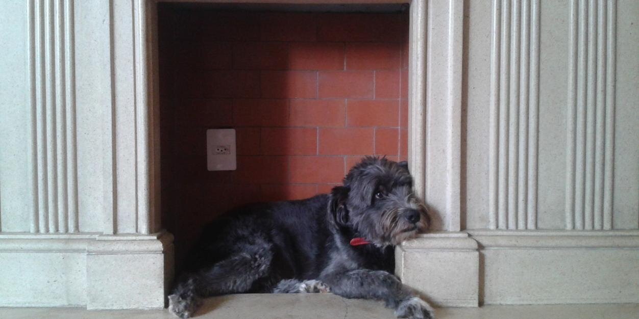 DECO -PETISTA DE CARTEIRINHA-PROTETOR banner