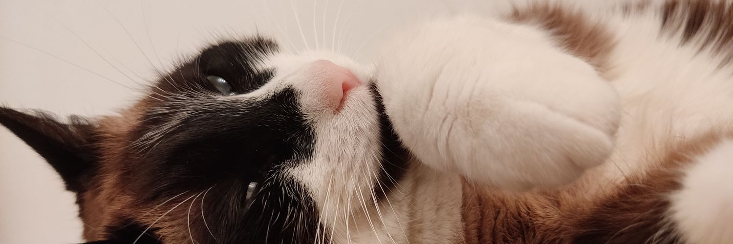 inessi25's profile banner image
