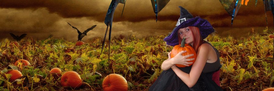 entertainmtmesh's profile banner image
