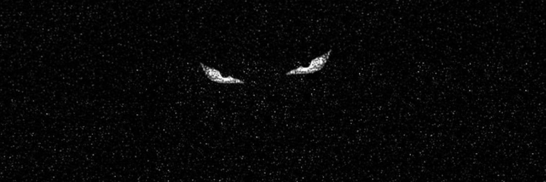 Barrex's profile banner image