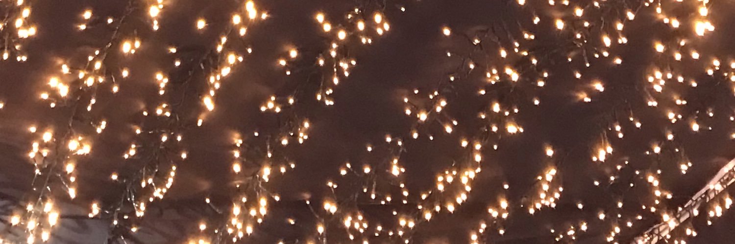 LoopyLouBeth's profile banner image