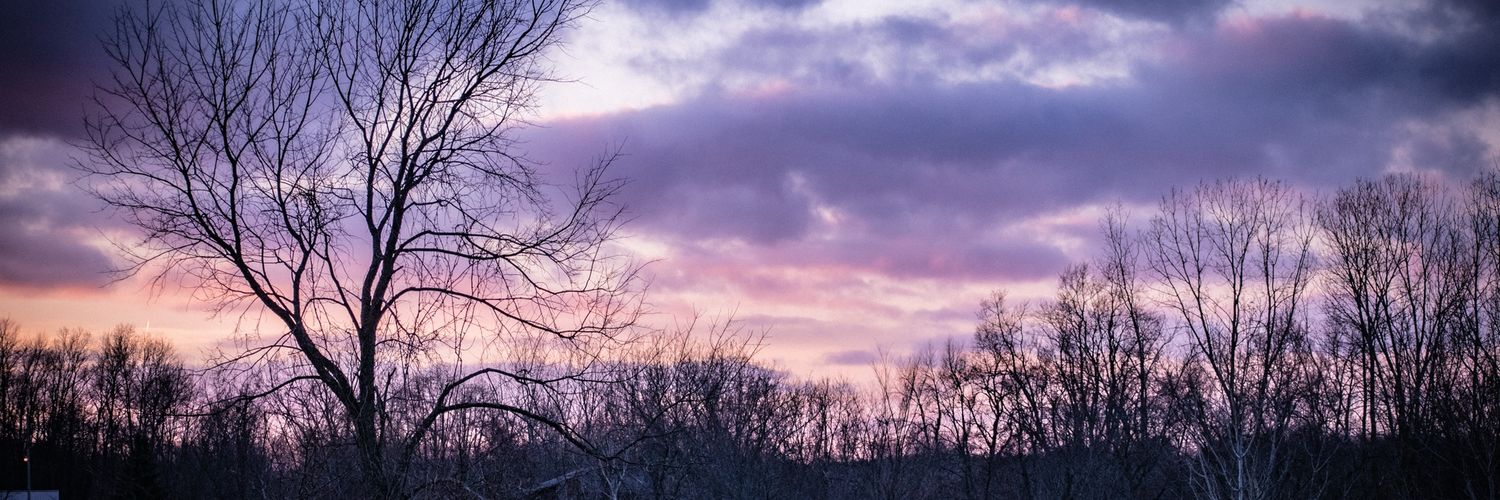shadkittle's profile banner image