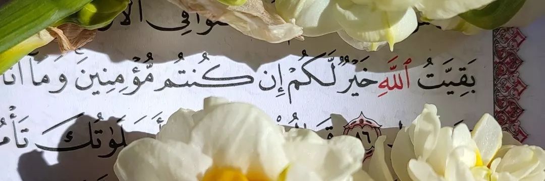 jaffar_abo_moh's profile banner image
