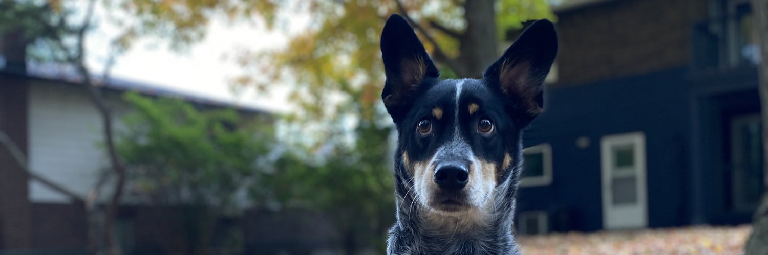 Amanda Jones (Stone) banner