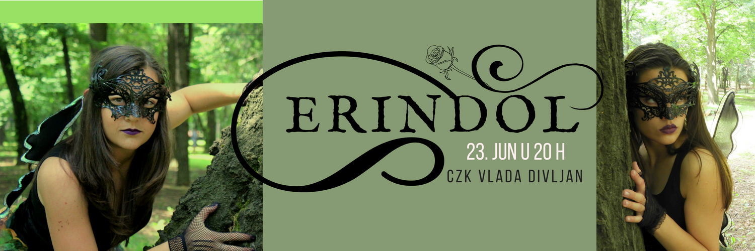 ErinsFiddle's profile banner image