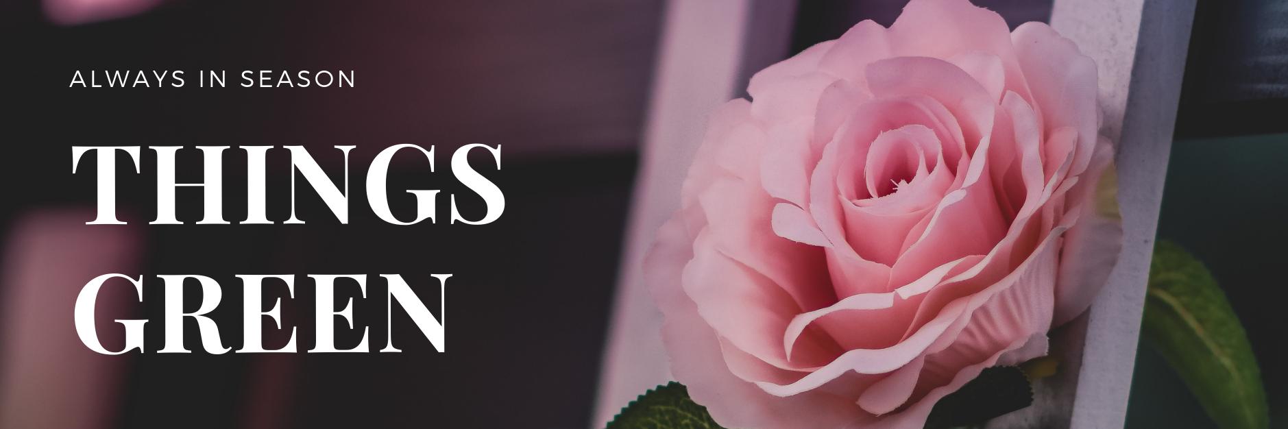 thingsgreen's profile banner image