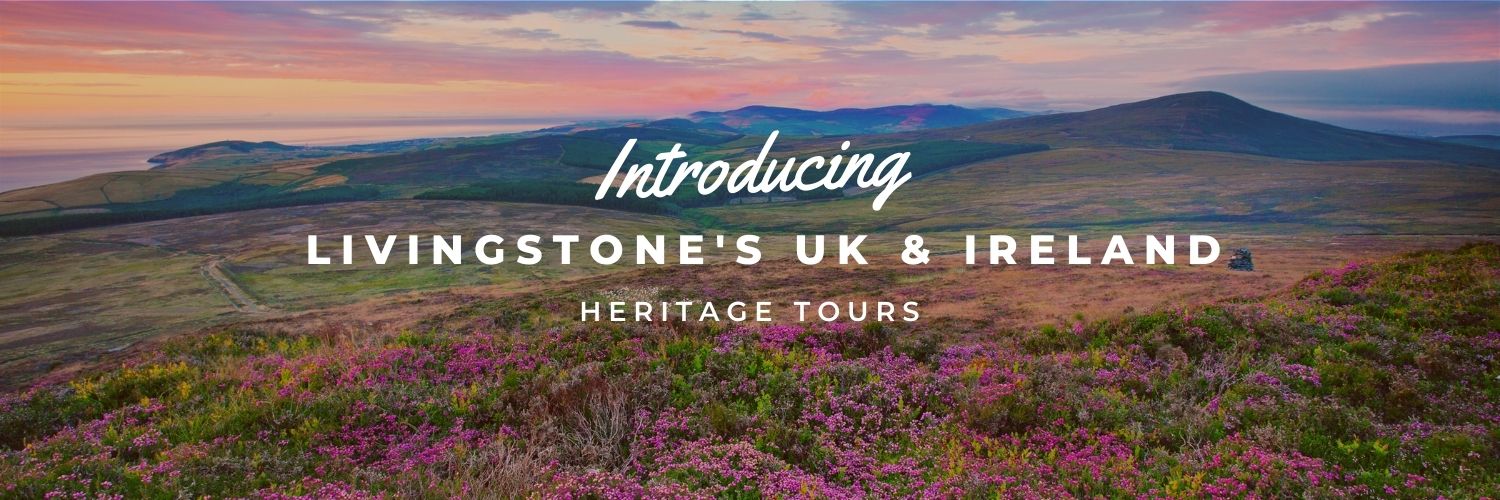 Livingstone's Travel World banner