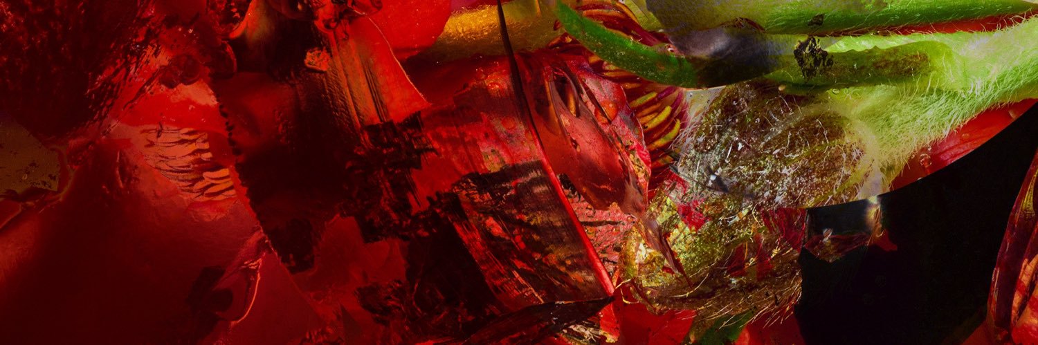 Lost Language banner