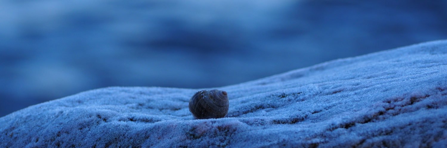FriederikeJaich's profile banner image