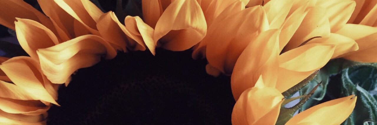 __beautayful's profile banner image