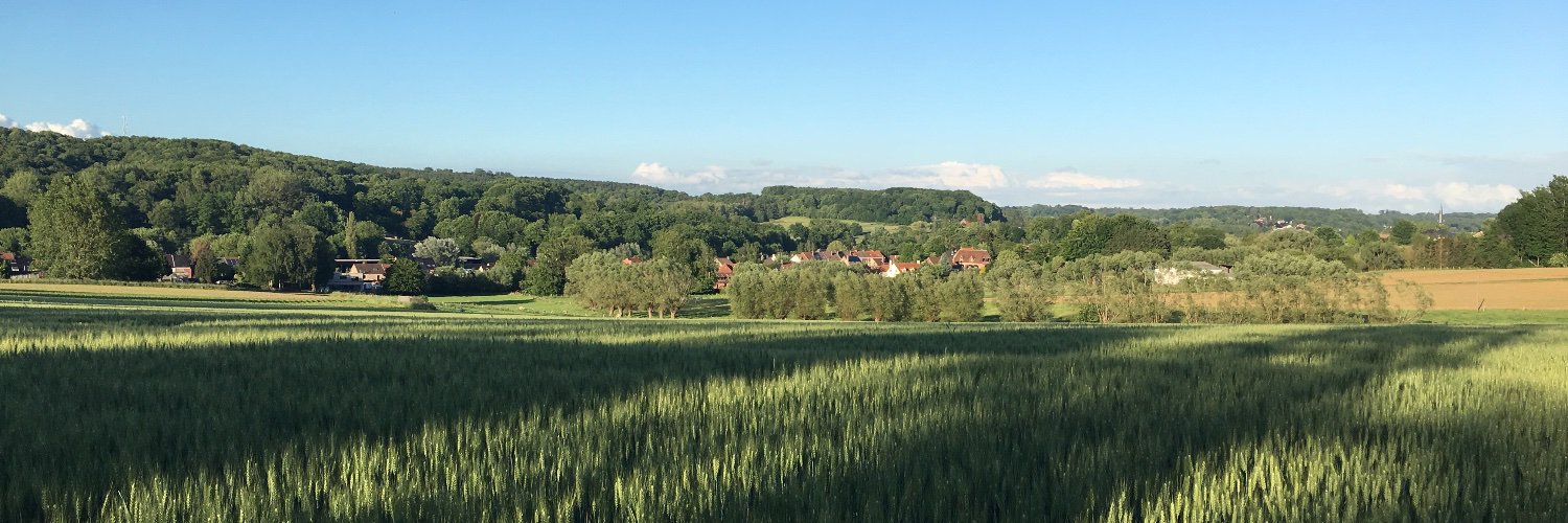 DominikDB's profile banner image