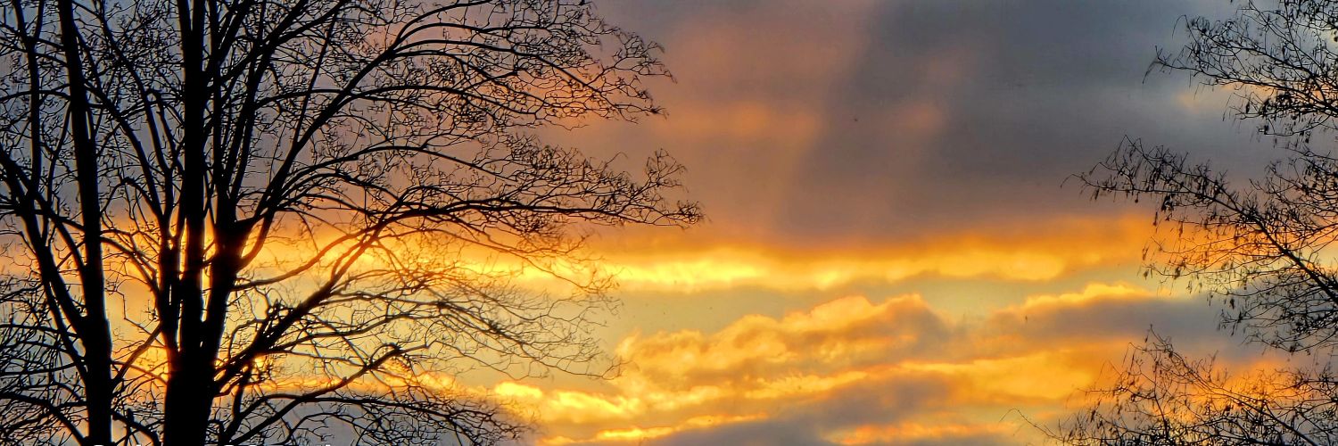 Andreas Frank banner