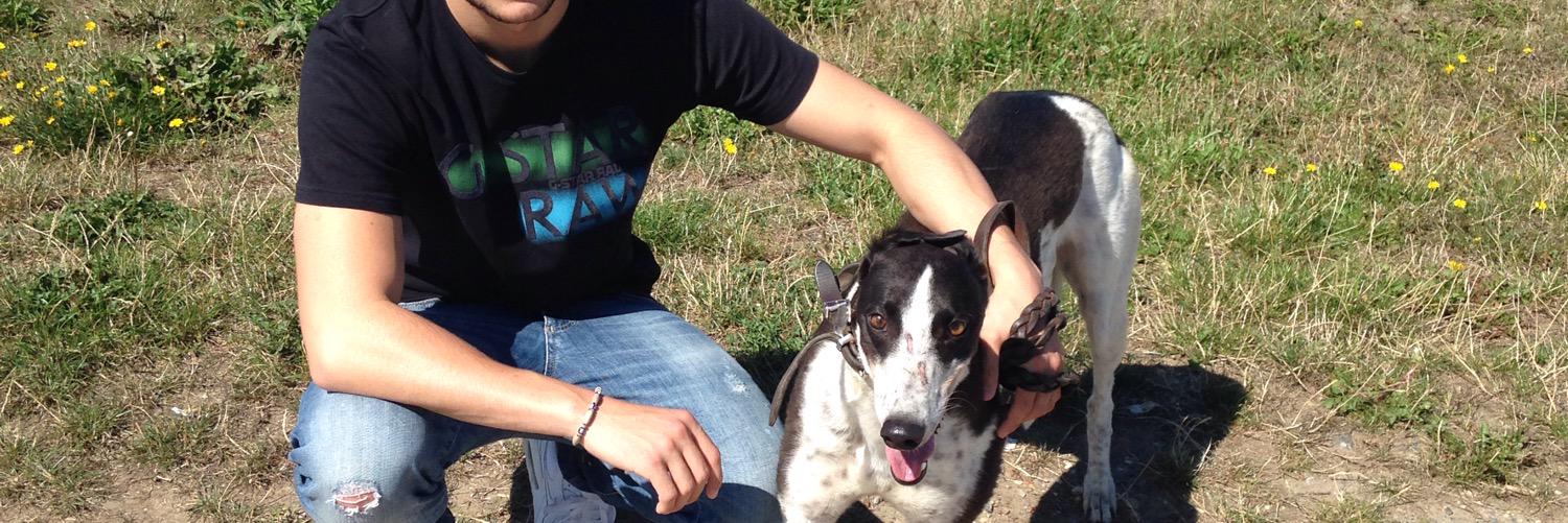 babsberki's profile banner image