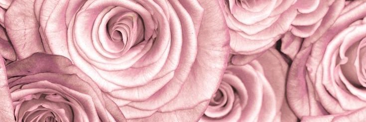 Rebekah_Kayyy's profile banner image