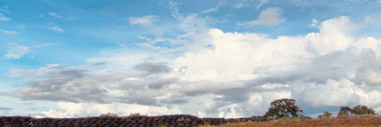 Elen Cristina banner