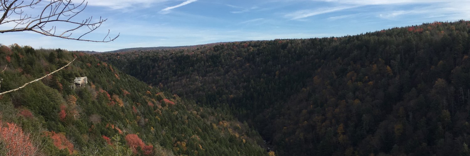 RLZimmermanJr's profile banner image