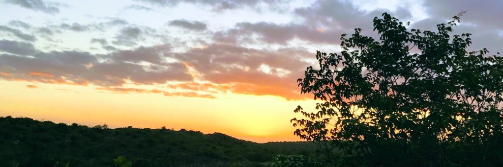 fandretti's profile banner image