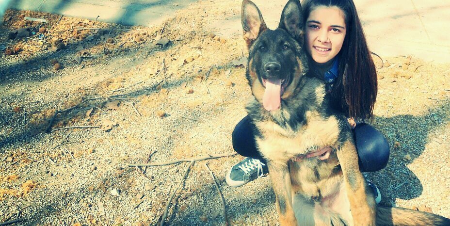 lloria_ivory's profile banner image