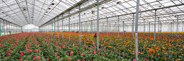 FCOGrowers Profile Banner