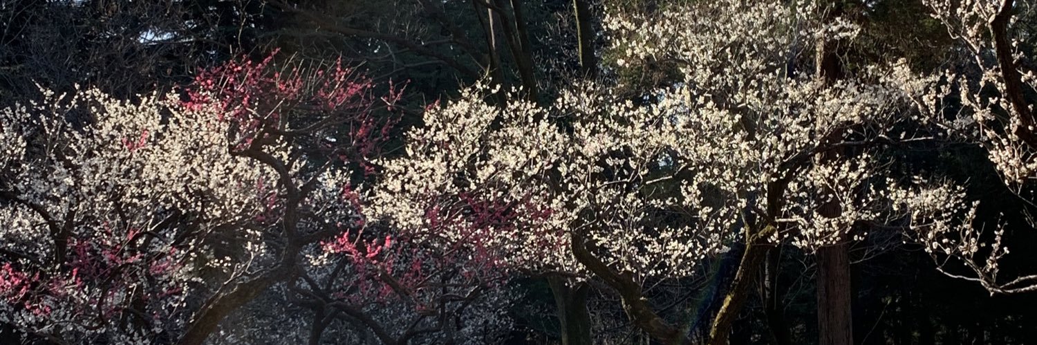 Nemu2391's profile banner image