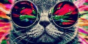 Viki Avendaño(✸,✸)ReddioReddio🔴💊 banner