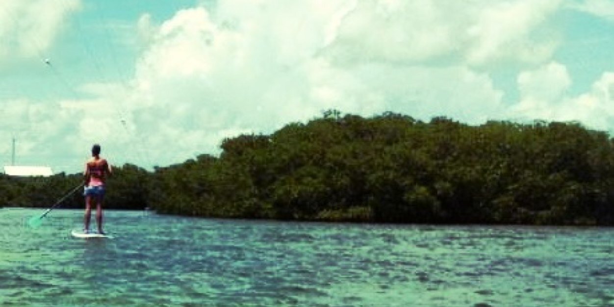 ksukate's profile banner image