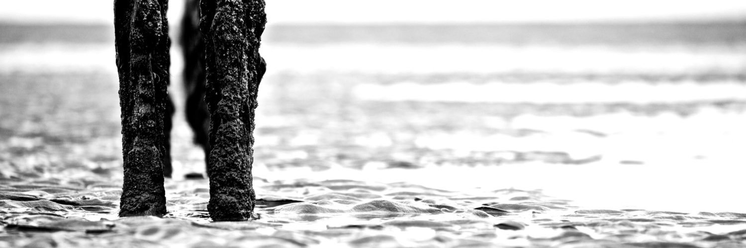 TilfordR's profile banner image